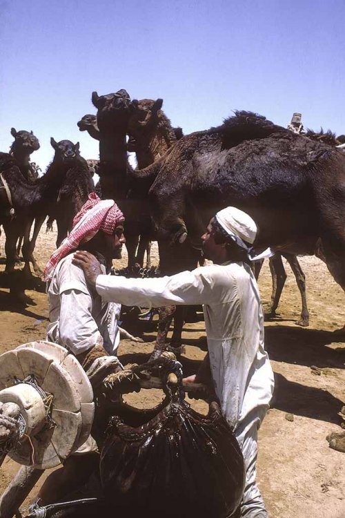 الربع الخالي عام 1960