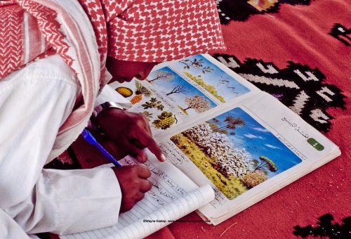 فتى ال عمرة الصغير يؤدي واجباته المدرسية في مدرسته الصحراويه في رمال الدهناء ، المملكة العربية السعودية.