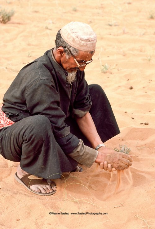 عندما لا يتوفر الماء بسهولة ، يغسل حمد بن جابر ال عمرة يديه بالرمل. الدهناء ، المملكة العربية السعودية