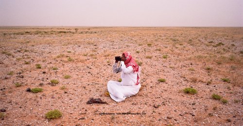 جابر ال عمرة يراقب  الإبل في رمال الدهناء بالمملكة العربية السعودية